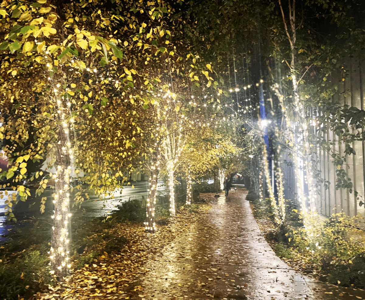 holiday lights in fall
