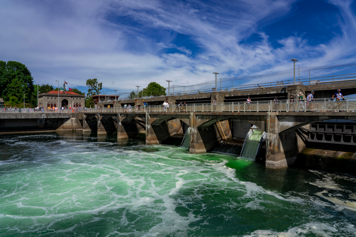 Ballard Locls Adobe Stock