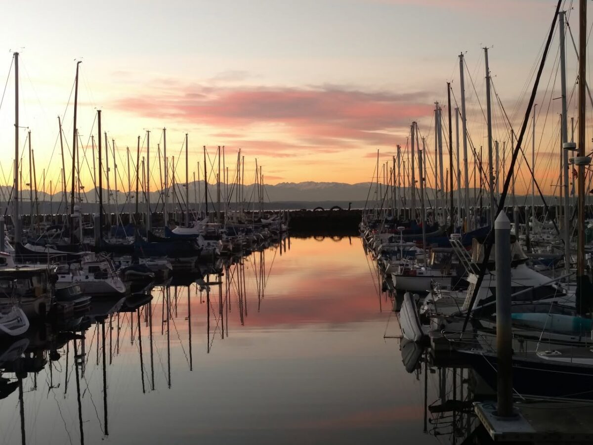 Shilshole marina with serpent sunset pink